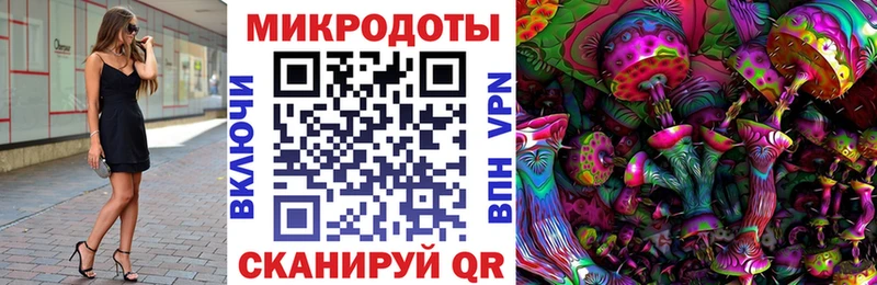 hydra ONION  купить наркотик  Камешково  Галлюциногенные грибы ЛСД 
